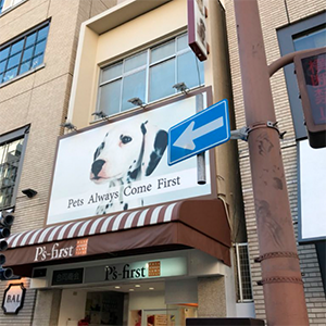 GT商会ビル塗装工事